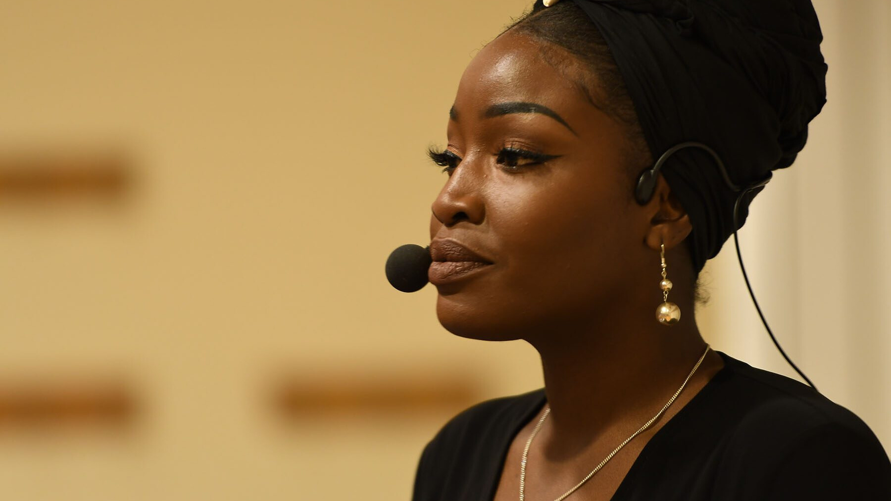 Corporate DEI Consulting